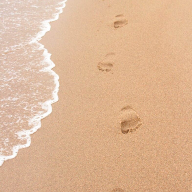 travel advisors in Wisconsin, destination wedding planning Wisconsin, honeymoon travel agency Wisconsin